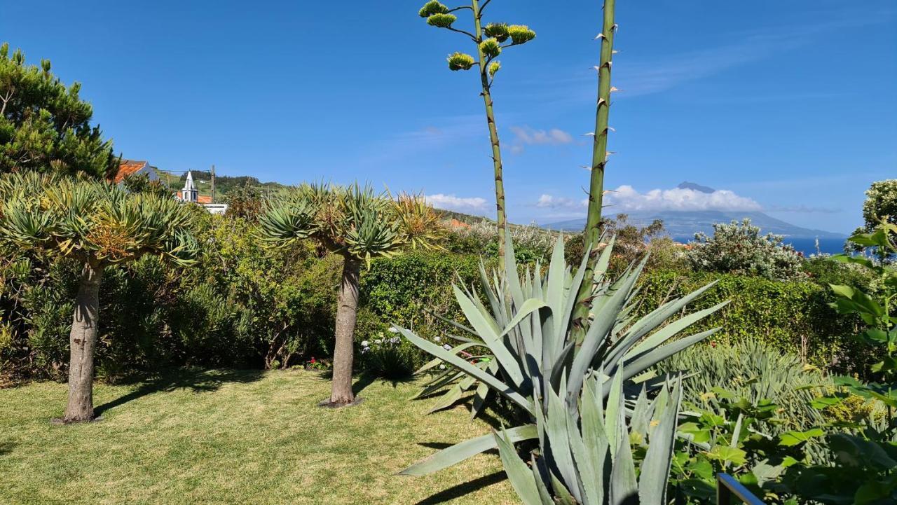 Castelo Branco 昆塔梅亚埃拉农庄别墅 外观 照片